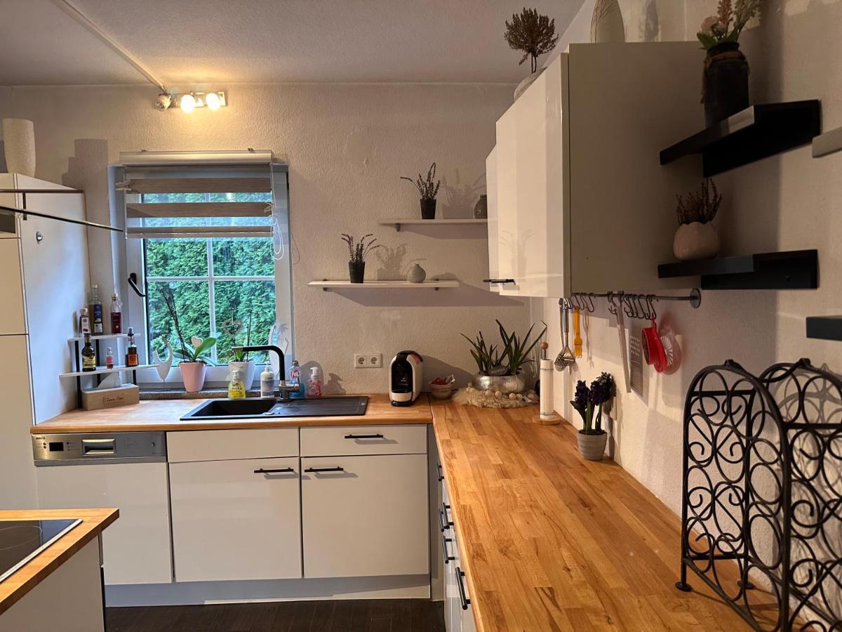 4 Zimmer 11 Personen Wohnung Garten Terrasse Grill 2 Badezimmer Wuppertal Eksteriør billede